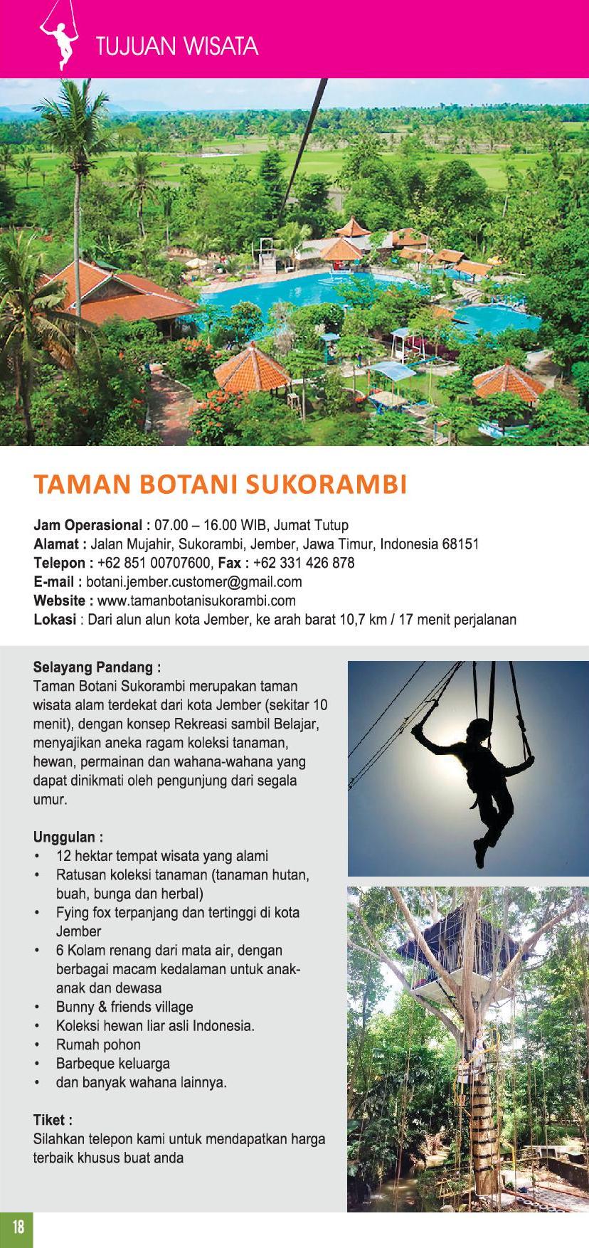 Tujuan Wisata Destinasi Wisata Jember